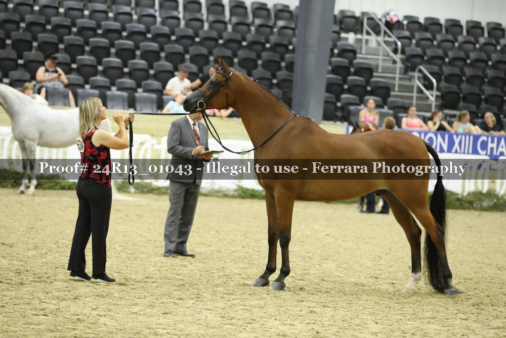 Proof 24R13_01043