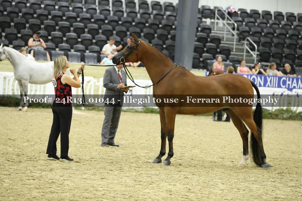 Proof 24R13_01044