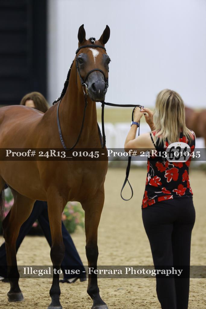Proof 24R13_01045