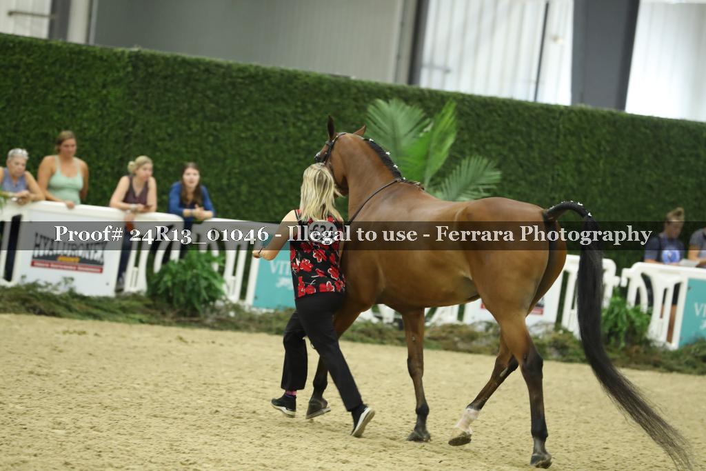 Proof 24R13_01046