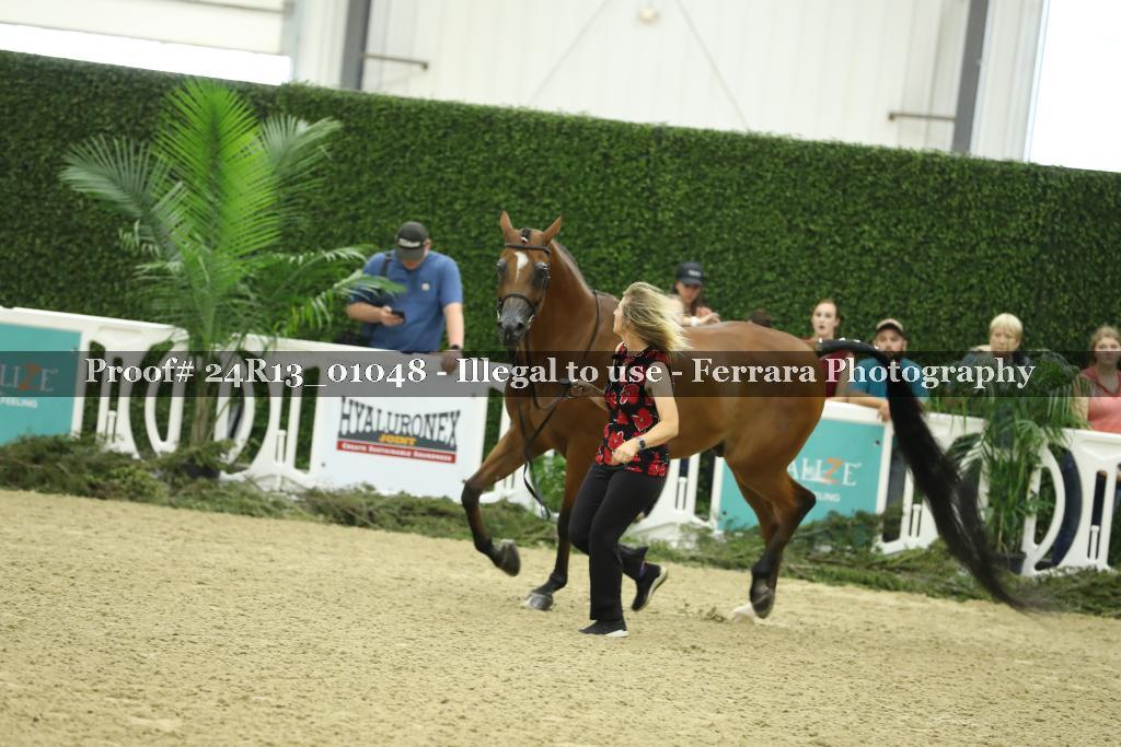 Proof 24R13_01048