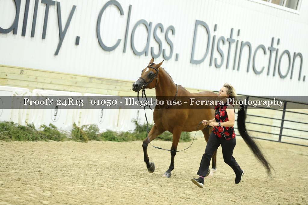 Proof 24R13_01050