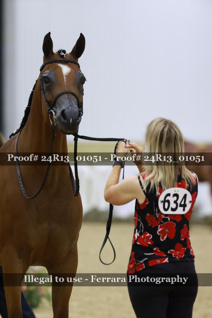 Proof 24R13_01051