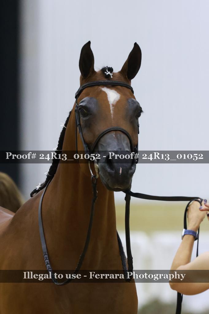 Proof 24R13_01052