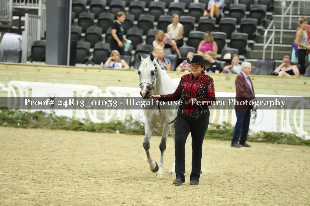 Proof 24R13_01053