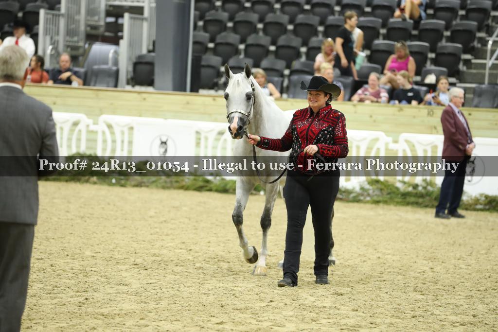 Proof 24R13_01054
