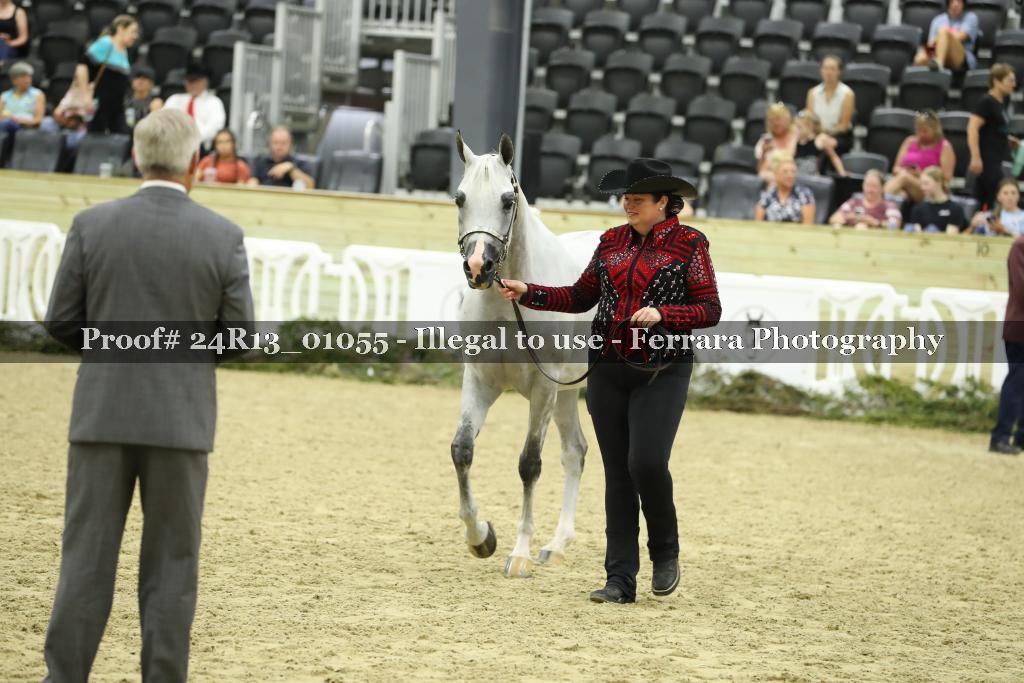 Proof 24R13_01055