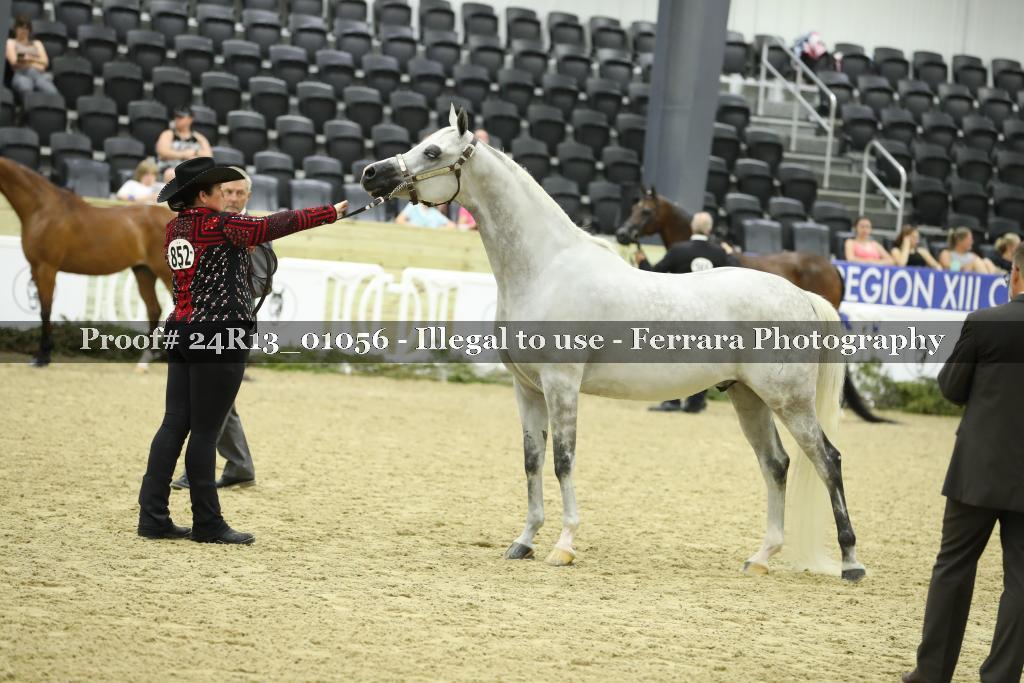 Proof 24R13_01056