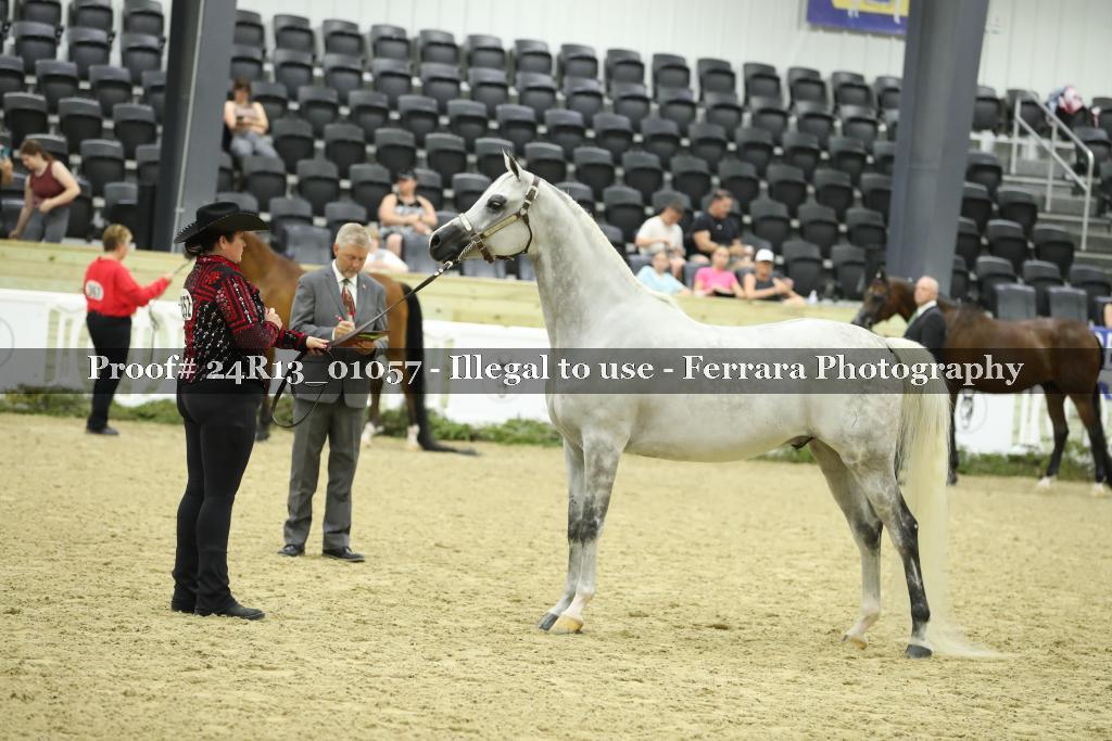 Proof 24R13_01057
