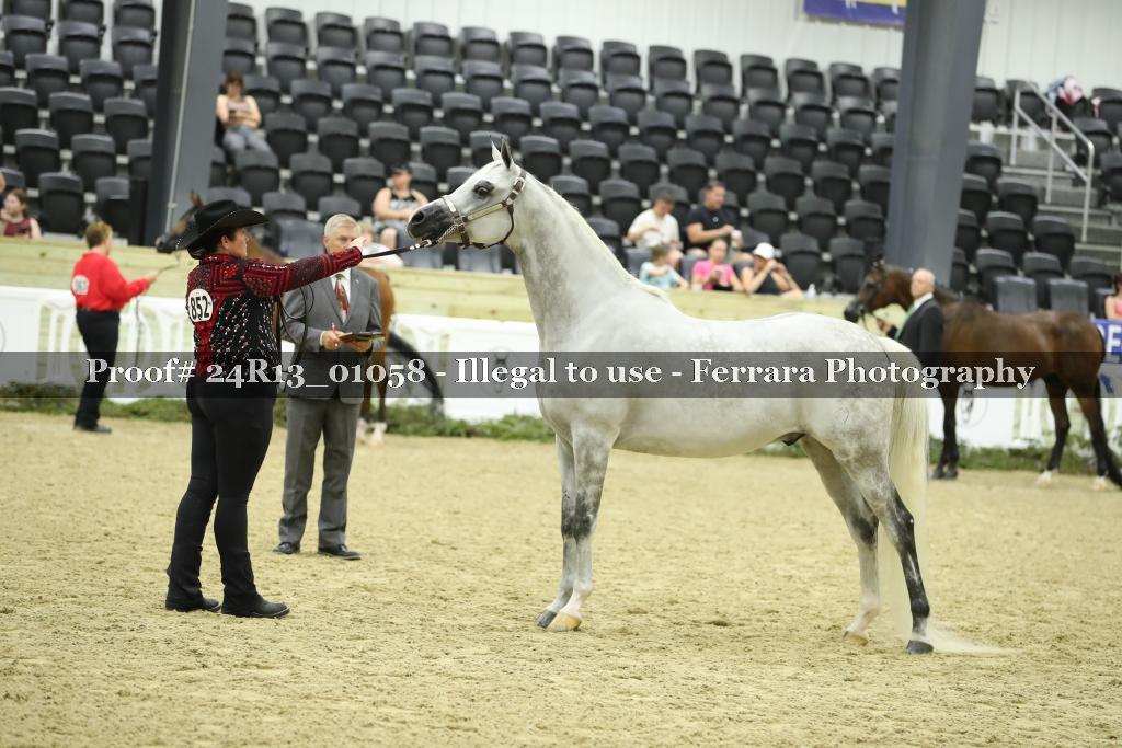 Proof 24R13_01058