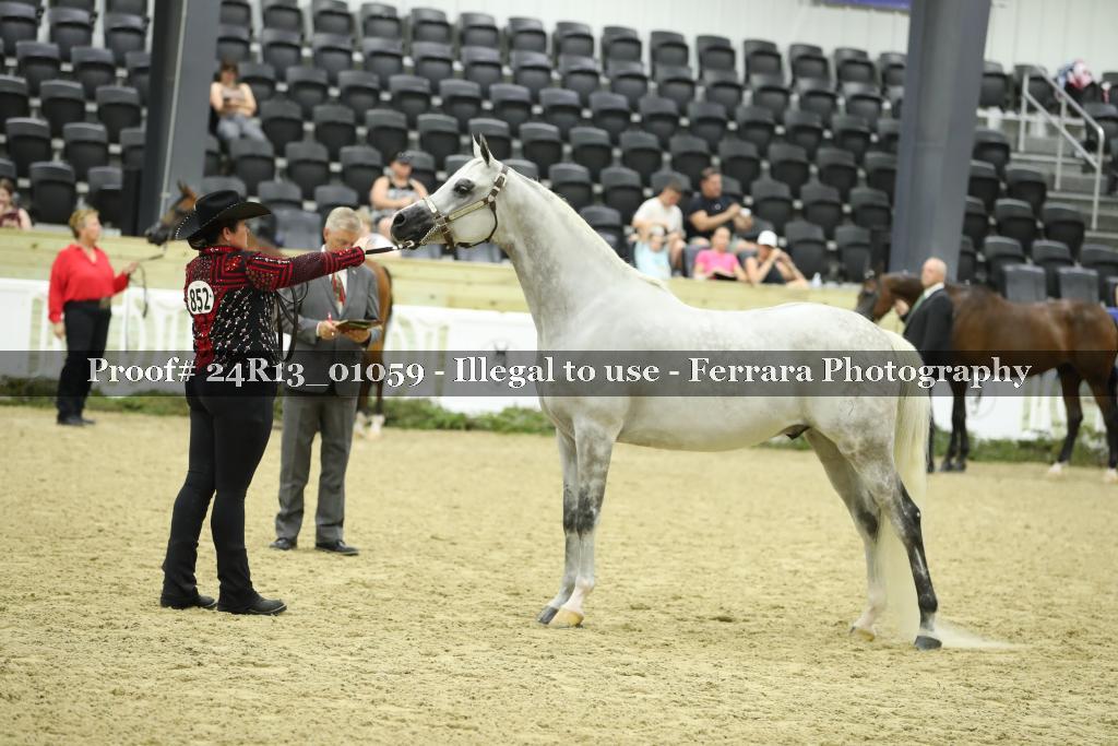 Proof 24R13_01059