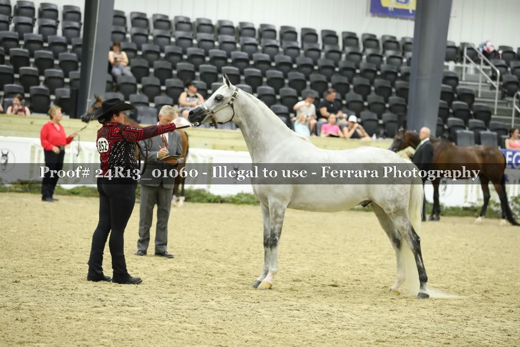 Proof 24R13_01060