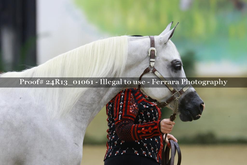 Proof 24R13_01061