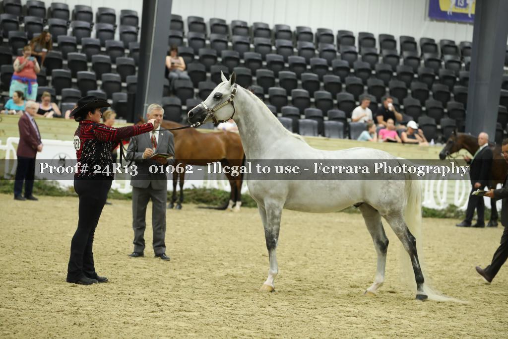 Proof 24R13_01062