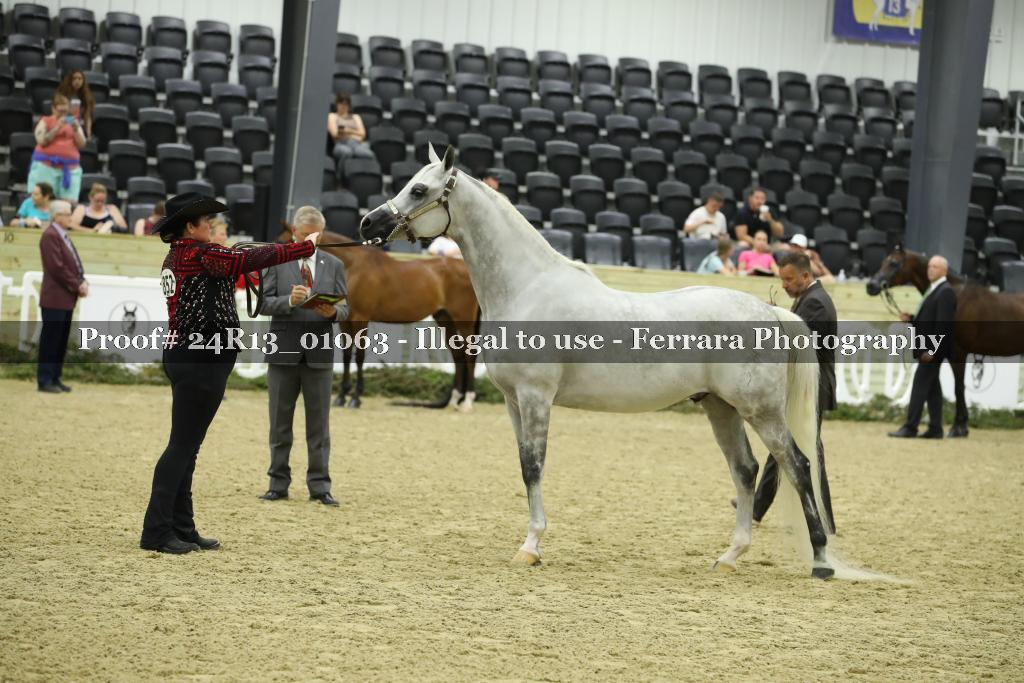Proof 24R13_01063