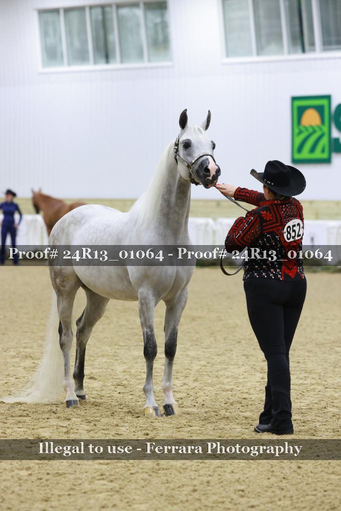 Proof 24R13_01064