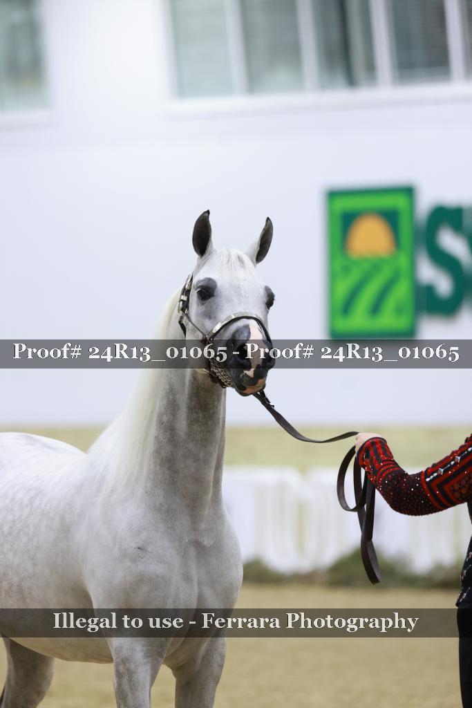 Proof 24R13_01065