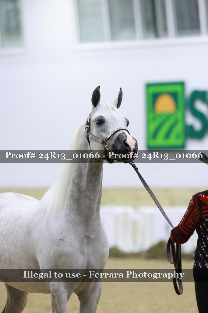 Proof 24R13_01066