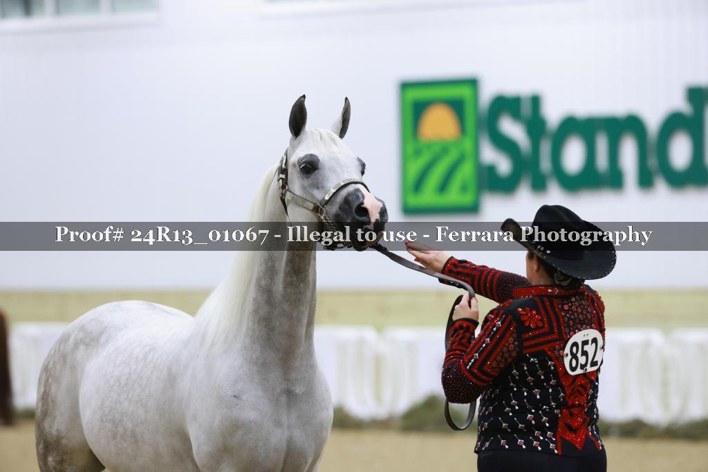 Proof 24R13_01067