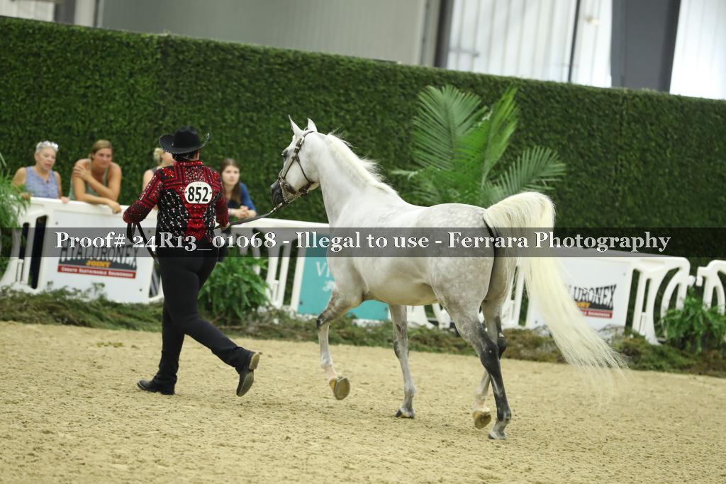 Proof 24R13_01068