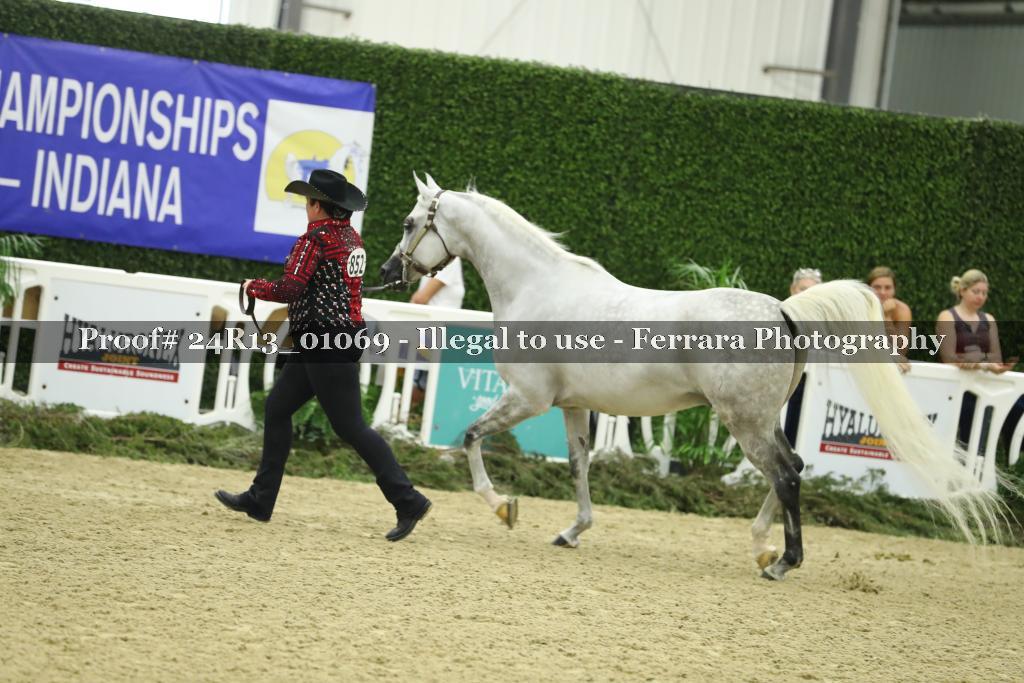 Proof 24R13_01069