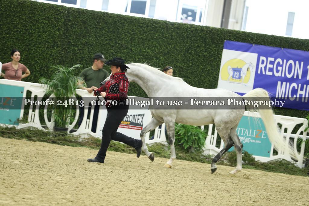 Proof 24R13_01070