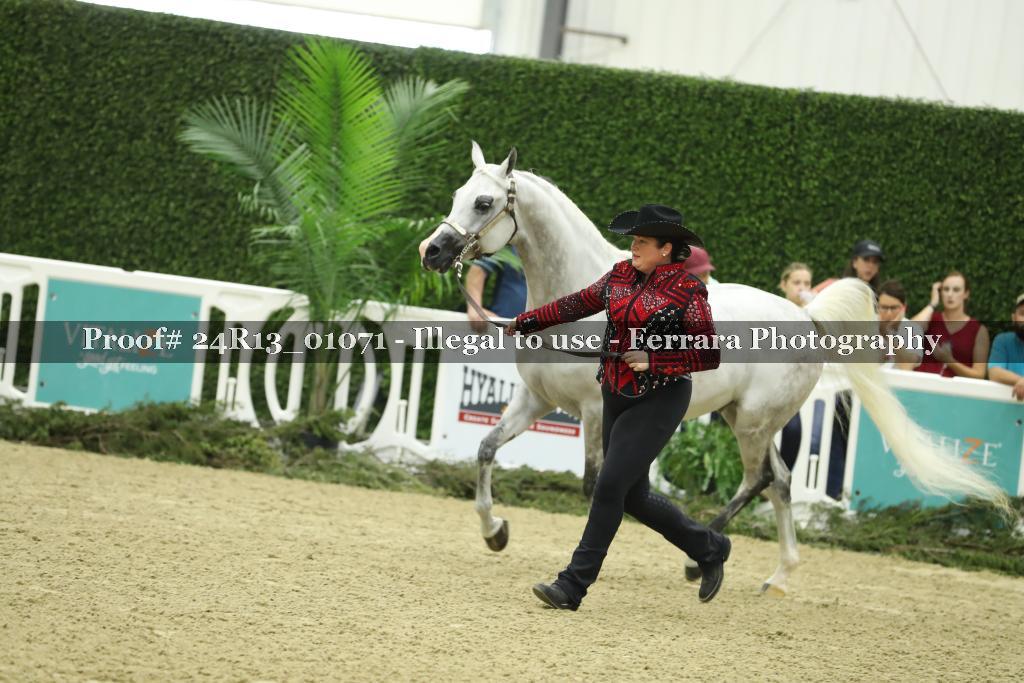 Proof 24R13_01071