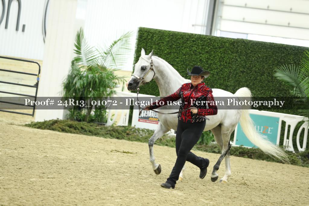 Proof 24R13_01072