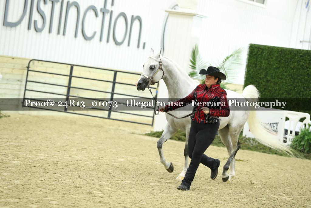 Proof 24R13_01073