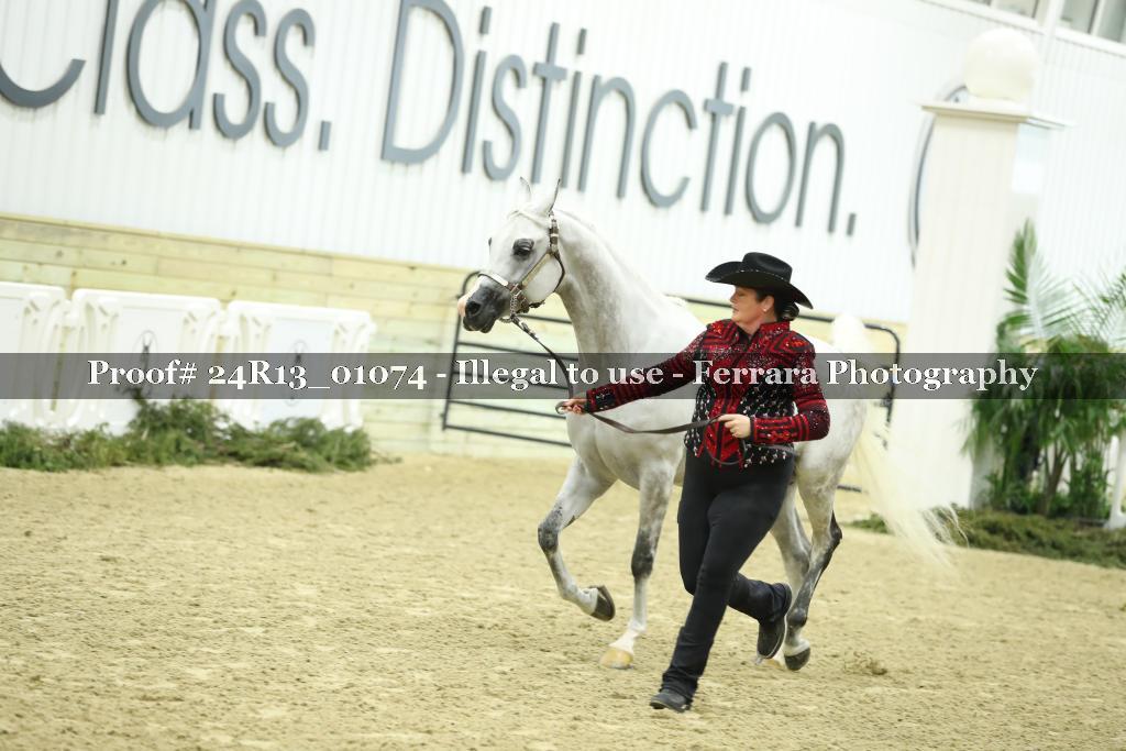 Proof 24R13_01074