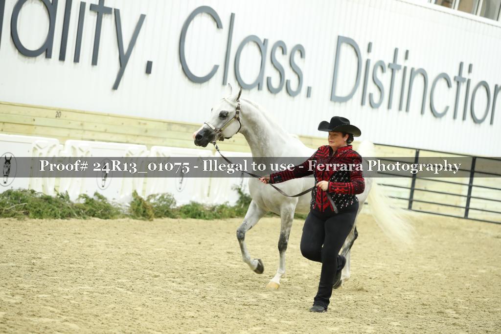 Proof 24R13_01075