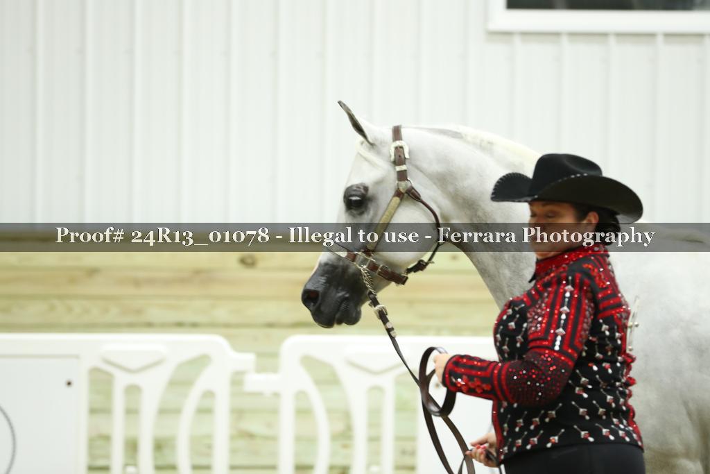 Proof 24R13_01078
