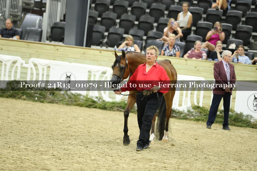 Proof 24R13_01079
