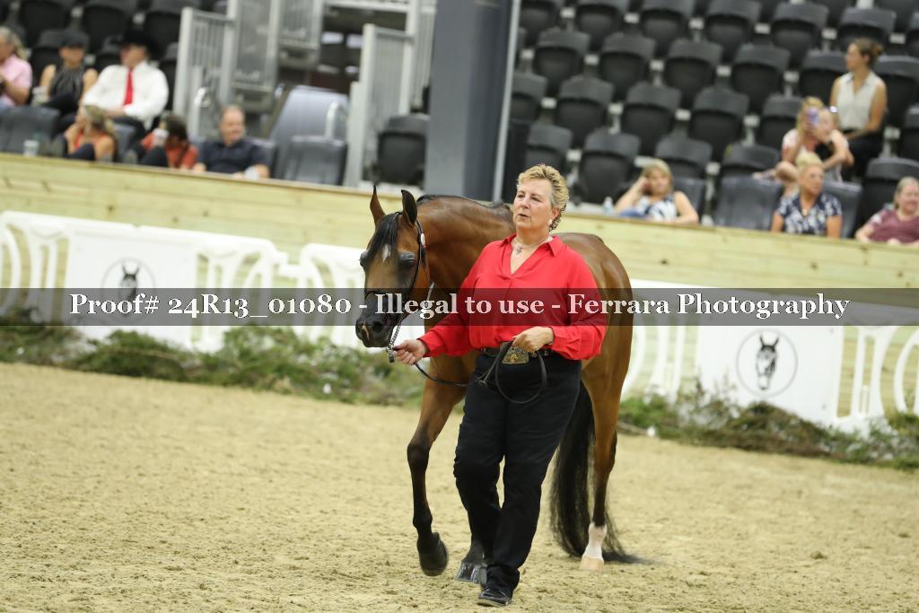 Proof 24R13_01080