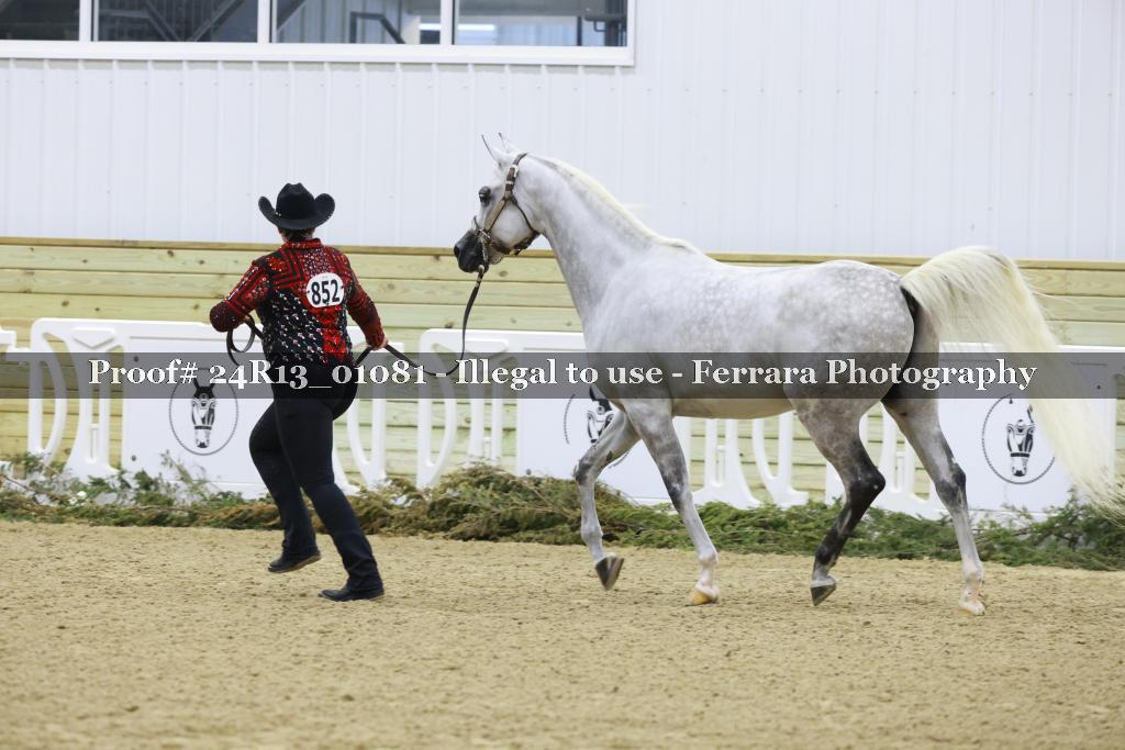 Proof 24R13_01081