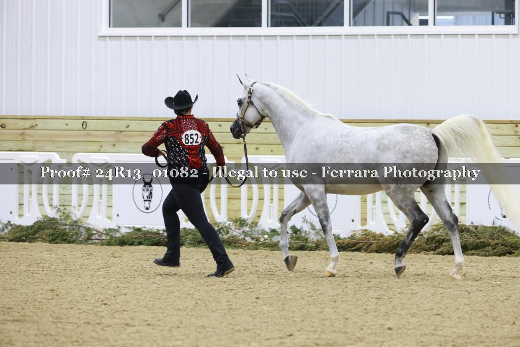 Proof 24R13_01082