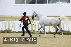 24R13_01082 proof