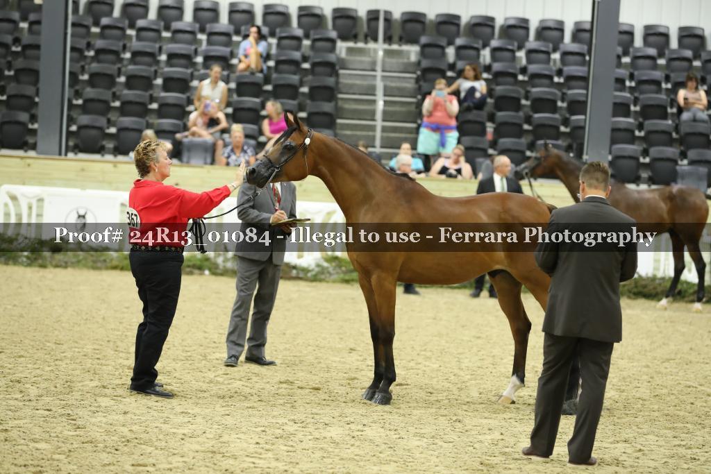 Proof 24R13_01084