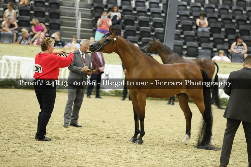 Proof 24R13_01086