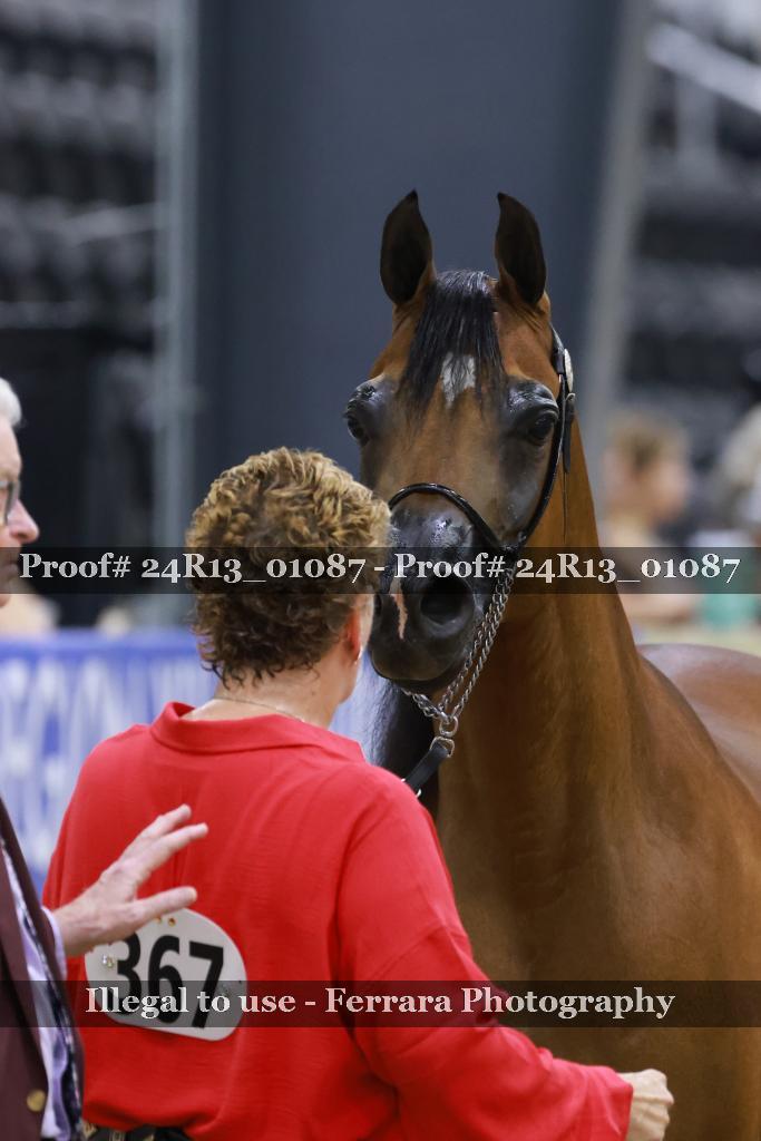 Proof 24R13_01087