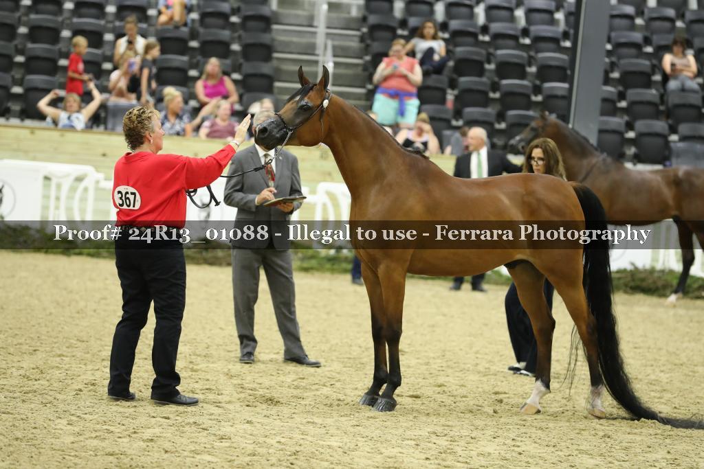 Proof 24R13_01088
