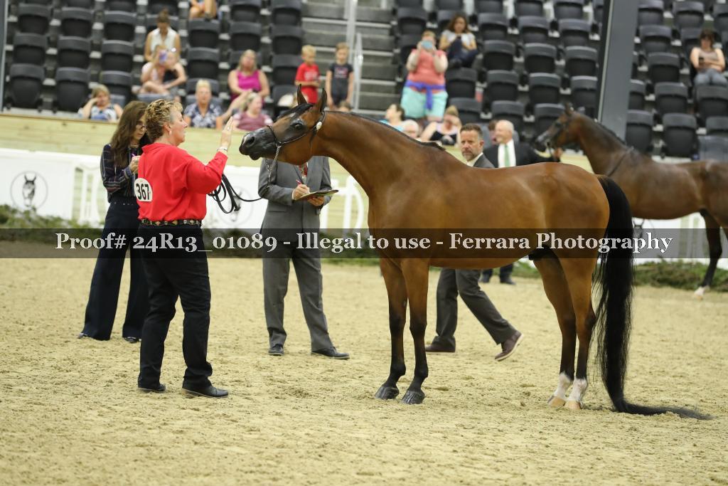 Proof 24R13_01089