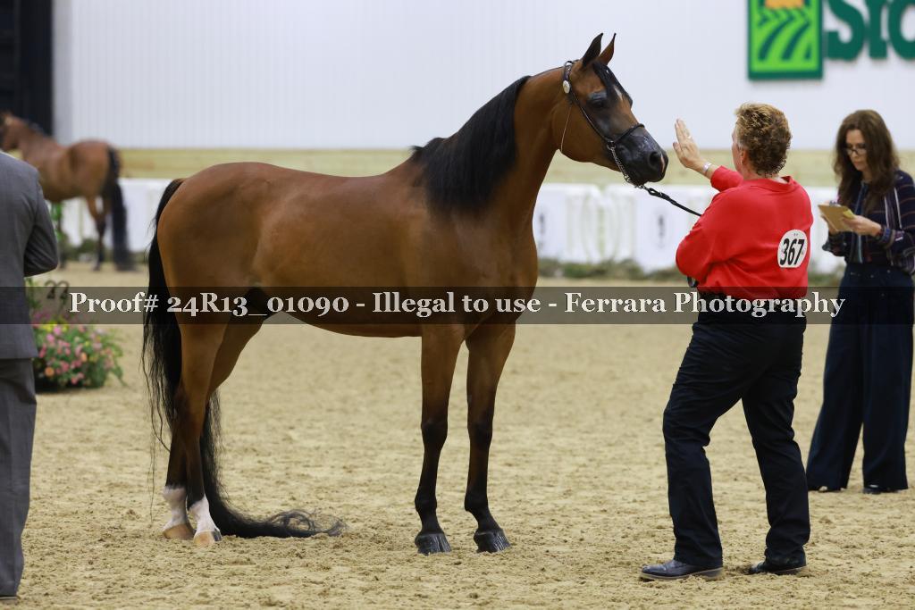 Proof 24R13_01090