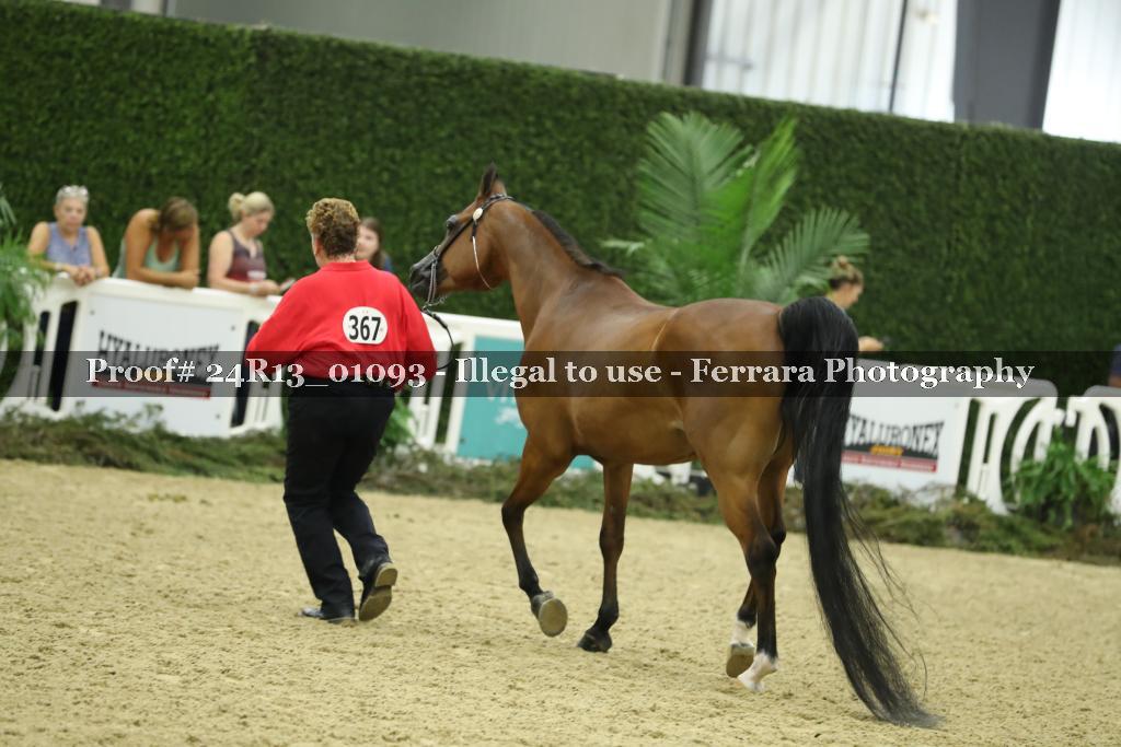 Proof 24R13_01093