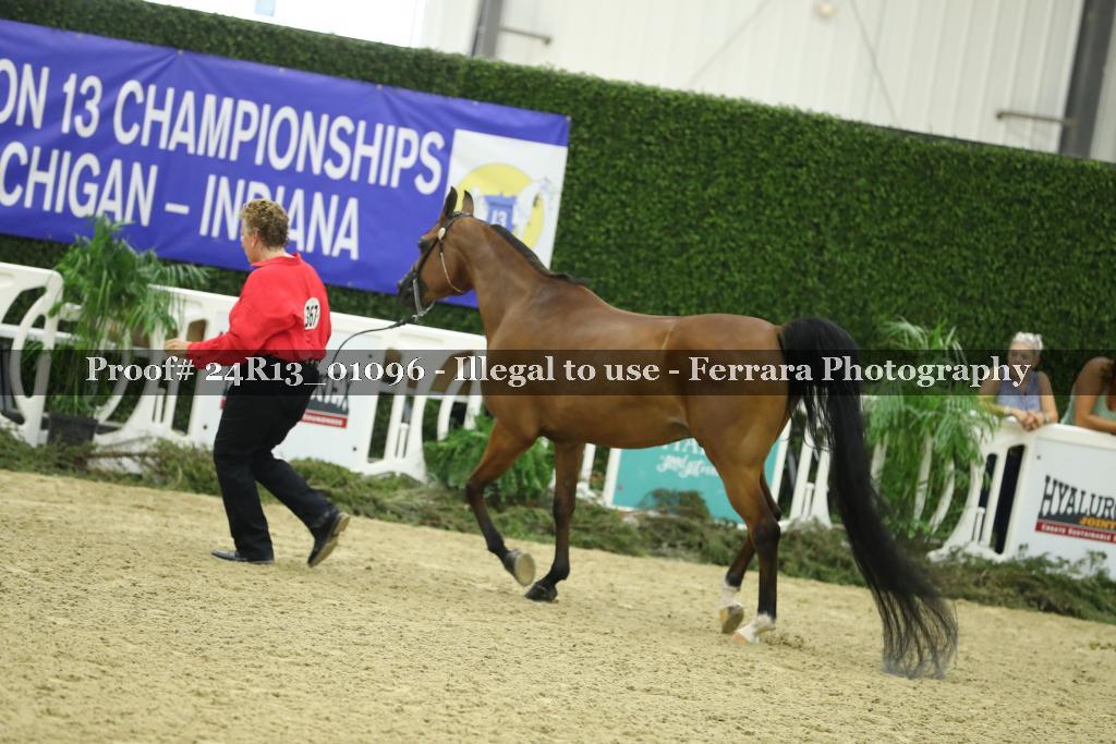 Proof 24R13_01096