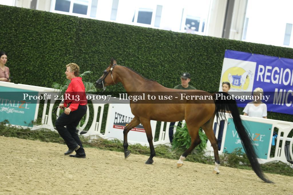 Proof 24R13_01097