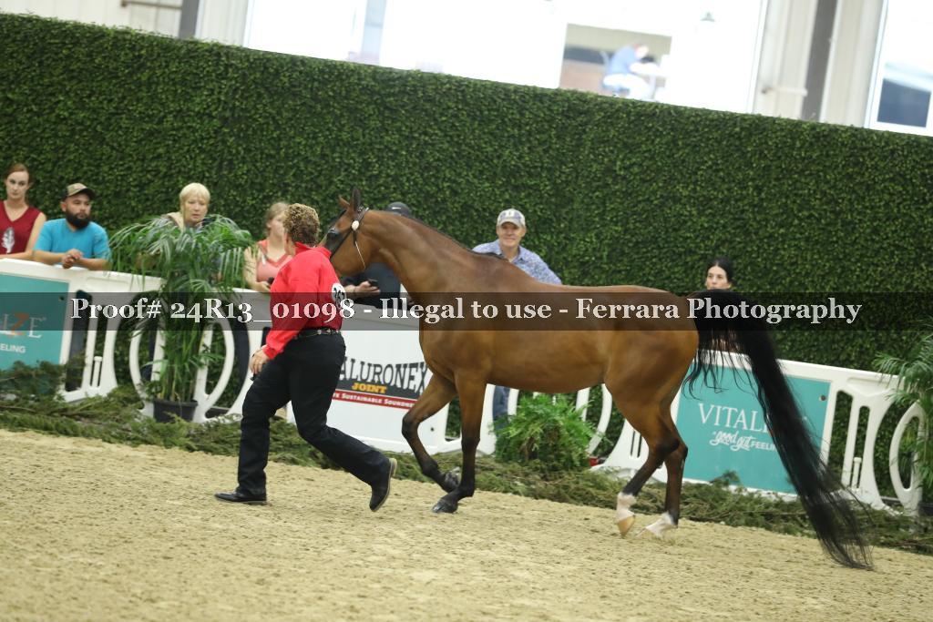 Proof 24R13_01098