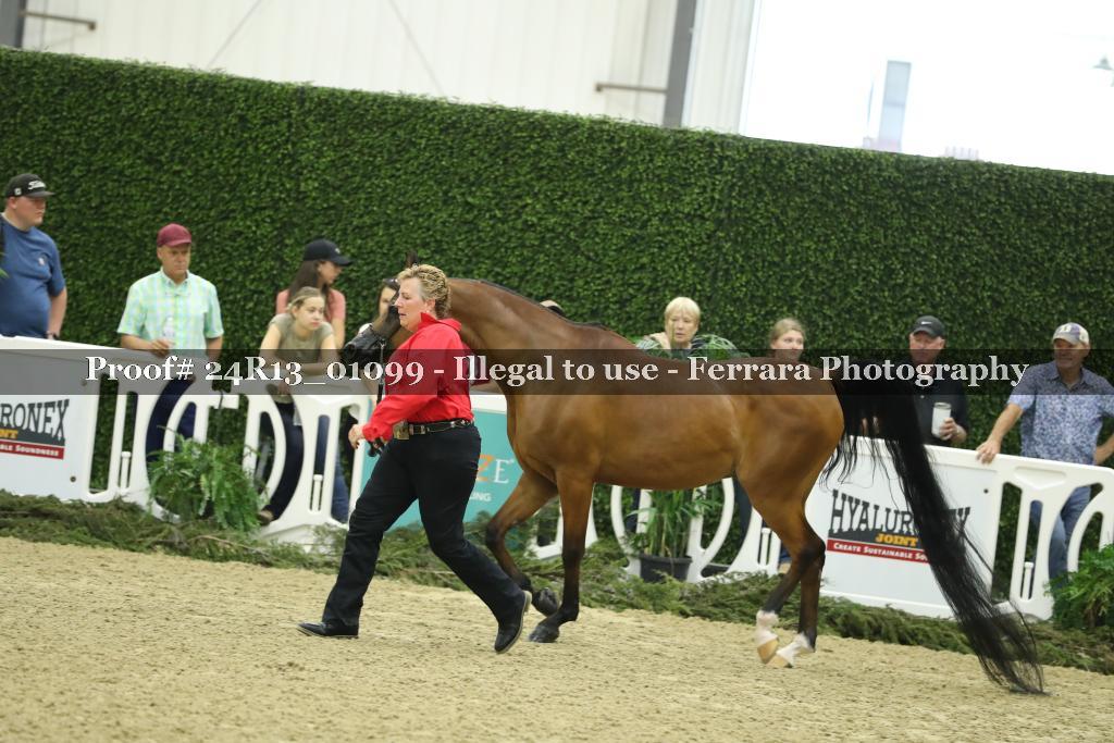 Proof 24R13_01099