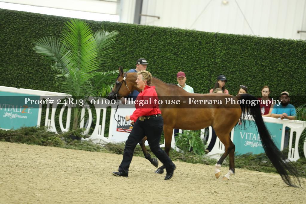Proof 24R13_01100