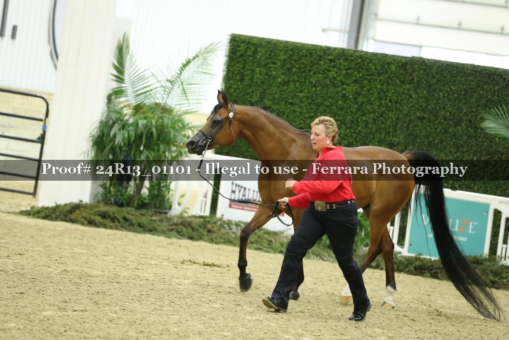 Proof 24R13_01101